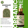 ROSEMARY OIL