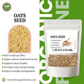 Oats Seeds 100 Gram