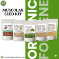 MUSCULAR SEED KIT