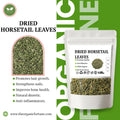 Dried Horsetail Leaves