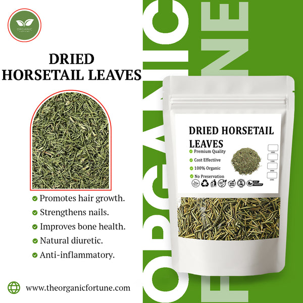 Dried Horsetail Leaves