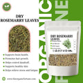 DRY ROSEMERRY LEAVES